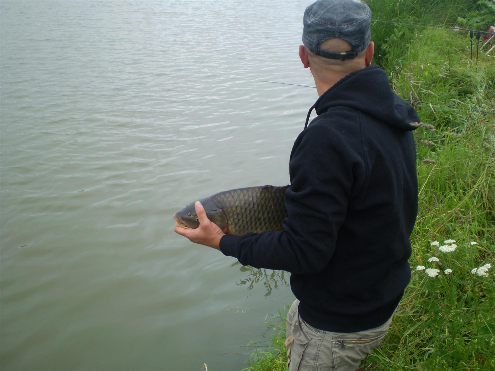 reci 2011 - p6110065.JPG